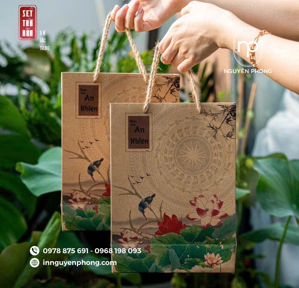 Mẫu túi giấy đựng thuốc đông y kraft mộc 